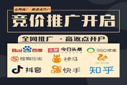 案例分析：百度竞价托管助力行业龙头